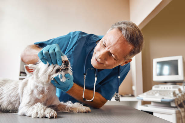 Best Emergency Dental Surgery in Anderson Island, WA